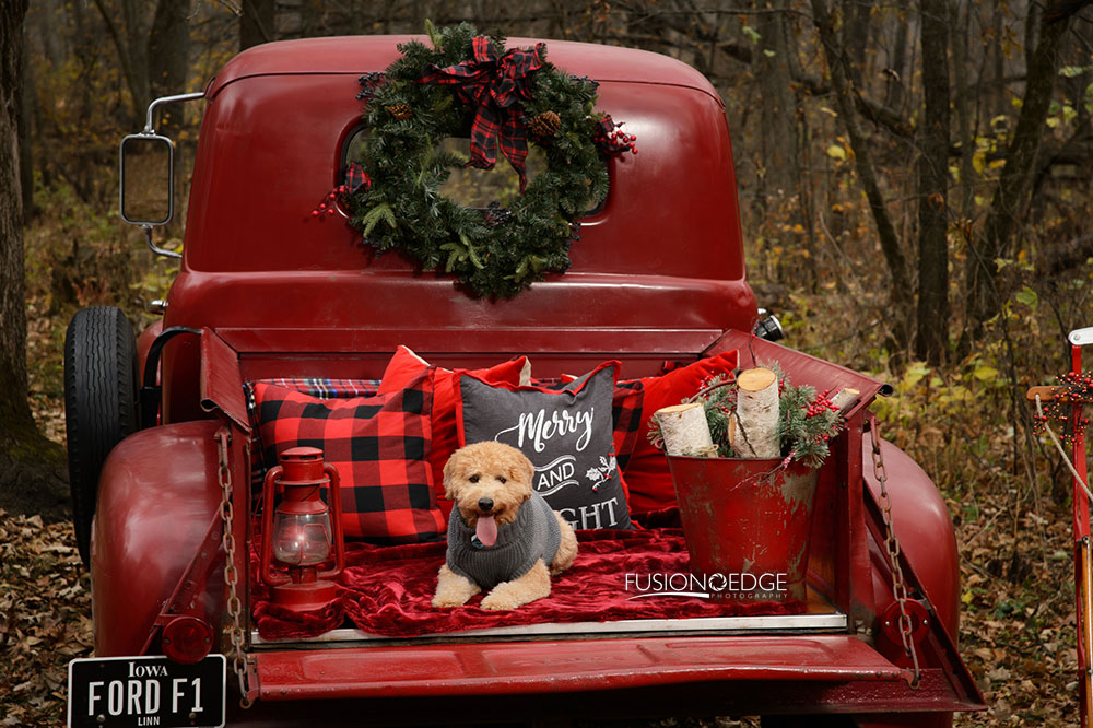 Vintage Red Truck Holiday Session  | Gilroy_080.jpg