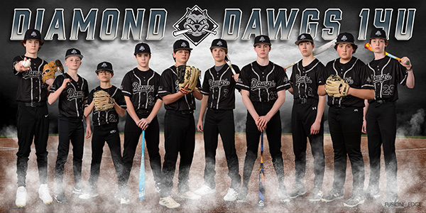 sports team picture baseball